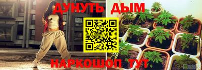 apvp Краснодар