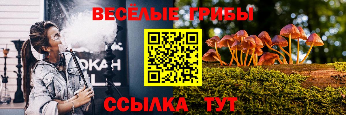 Псилоцибиновые грибы Psilocybine cubensis Канаш